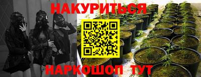 мяу мяу кристалл Владимир