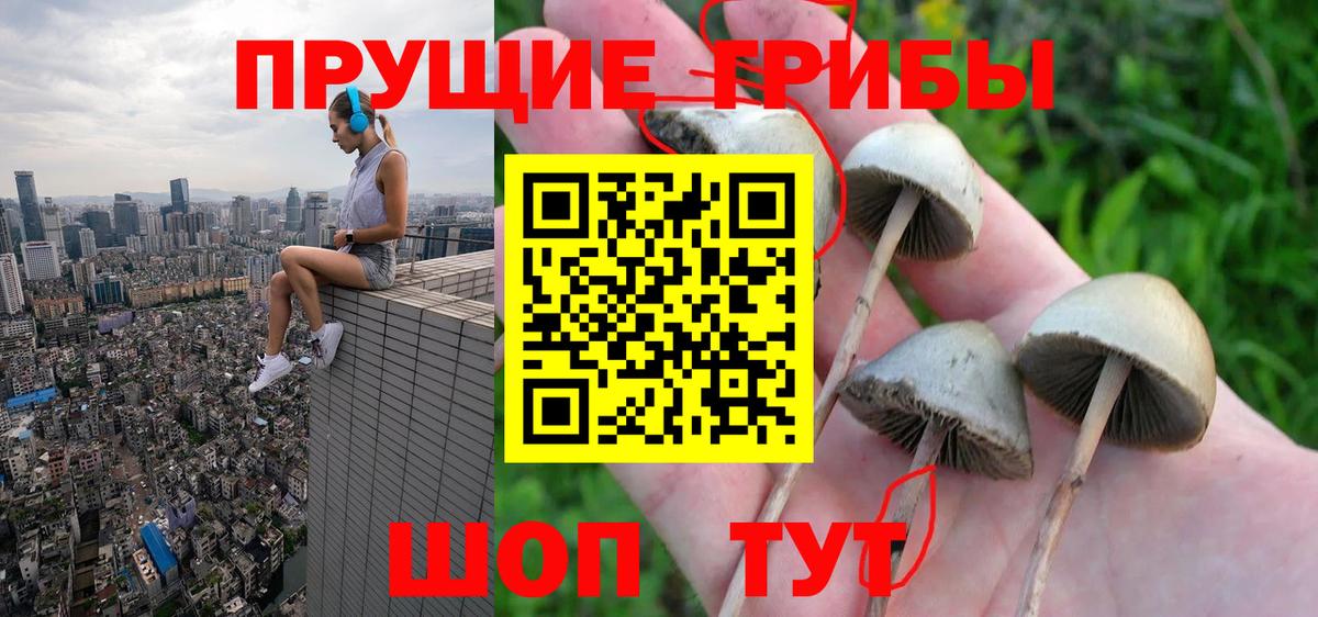 Галлюциногенные грибы Magic Shrooms Малоярославец