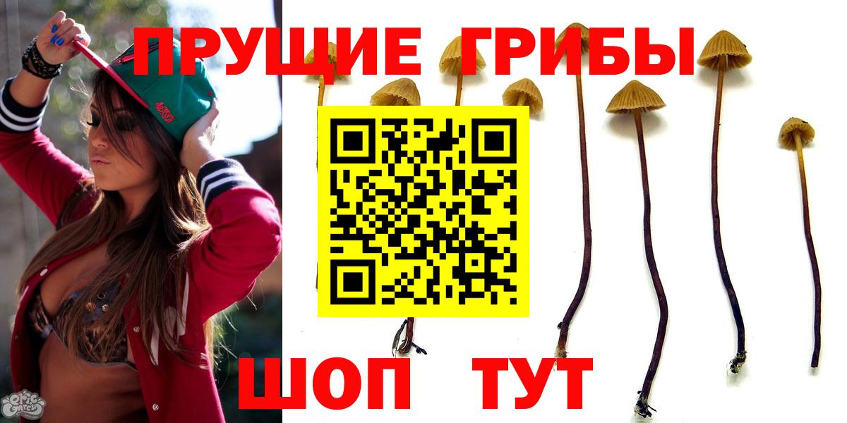 Псилоцибиновые грибы мухоморы  Вход с VPN  Галлюциногенные грибы GOLDEN TEACHER  Малоярославец 