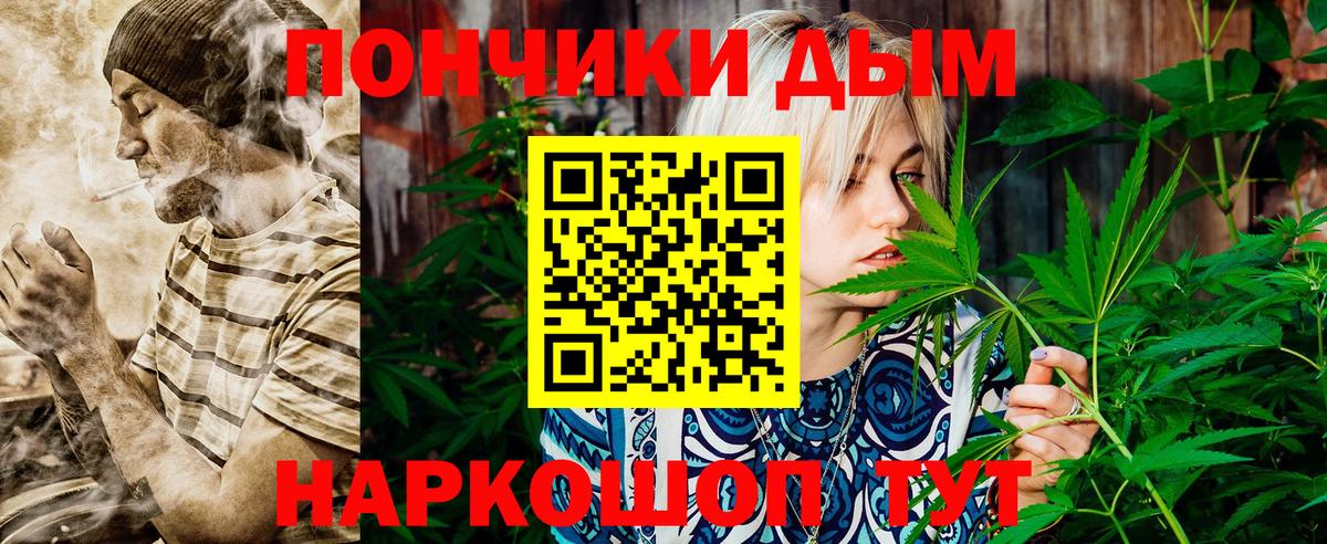 Бошки Шишки гибрид  Вход с VPN  Малоярославец  Каннабис гибрид  Шишки марихуана семена  Конопля гибрид 